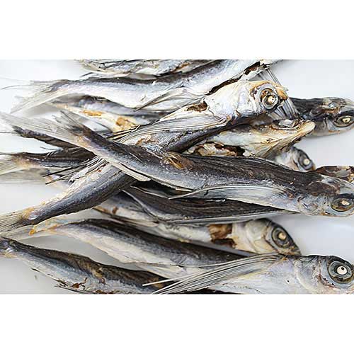 匠の逸品　金のあご姿　50g