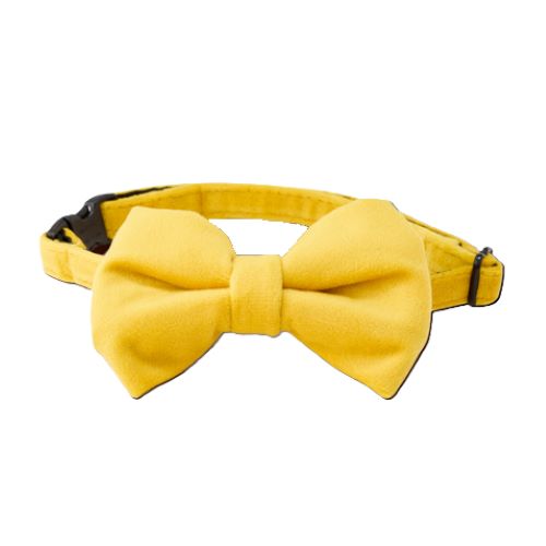 【ケース単位取寄】【メーカー欠品:入荷2025/12/上旬】2506　バウ　タイ　イエロー×2個入りケース