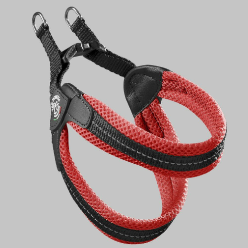 LTP113　フィッビア　ソフトメッシュ　2.5　レッド