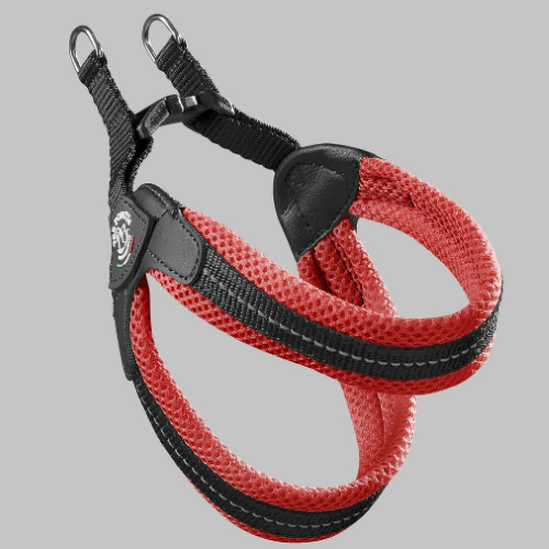 LTP113　フィッビア　ソフトメッシュ　3.5　レッド