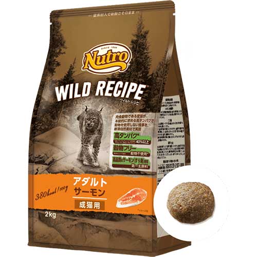 ワイルドレシピ　キャット　アダルトサーモン　成猫用　1kg