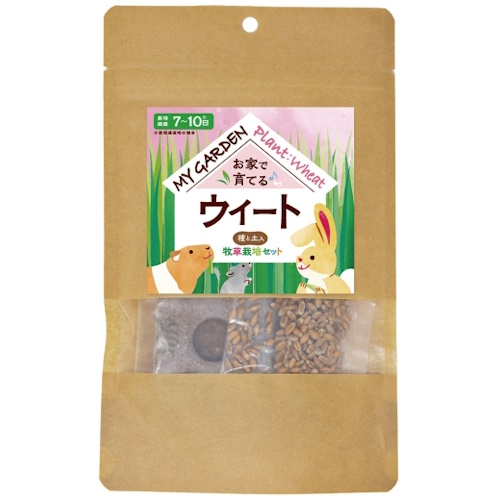 【ケース単位取寄】マイガーデン　牧草栽培セット　ウィート　1袋×30個入りケース