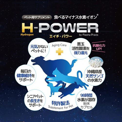 ペット水素カプセル30「H-POWER」　30カプセル