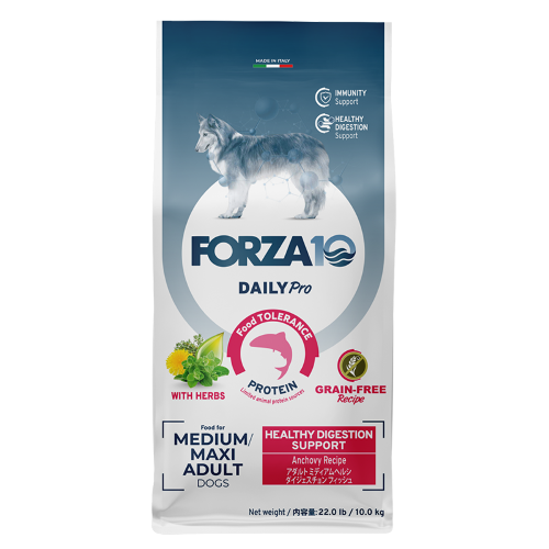 Forza10デイリープロアダルトミディアムヘルシーダイジェスチョン10