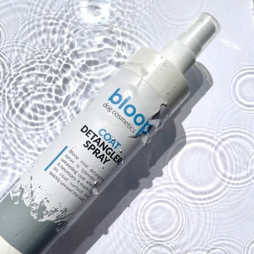 【ケース単位取寄】Bloop　コートディタングラースプレー　200ml×12個入りケース