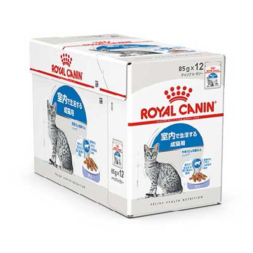 【ケース単位取寄】FHN-WET◇成猫用　ウェット　インドア　ゼリー　85g×12×4個入りケース