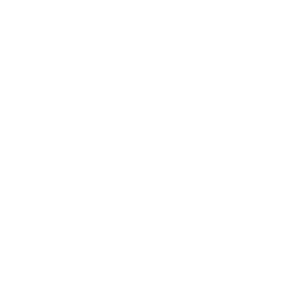 ピーアンドエルジャパン